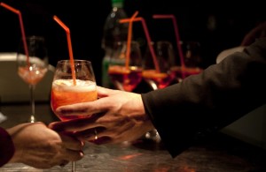 RobinHudRotary_0034a